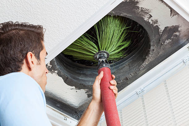 Best Local Air Duct Cleaning Services  in Old Brookville, NY